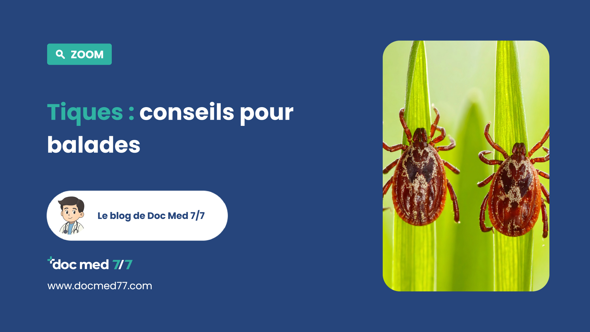 Se protéger des tiques pendant les balades e . . .